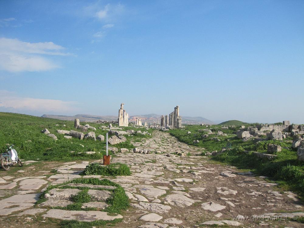 IMG_2554.JPG - Apamea