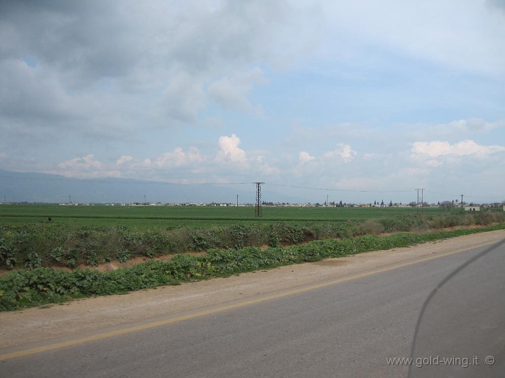 IMG_2564.JPG - Siria: la fertile piana di Al Ghab