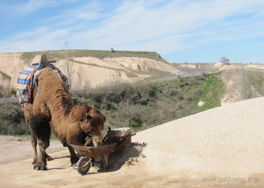 IMG_2765.jpg - Turchia: Cappadocia