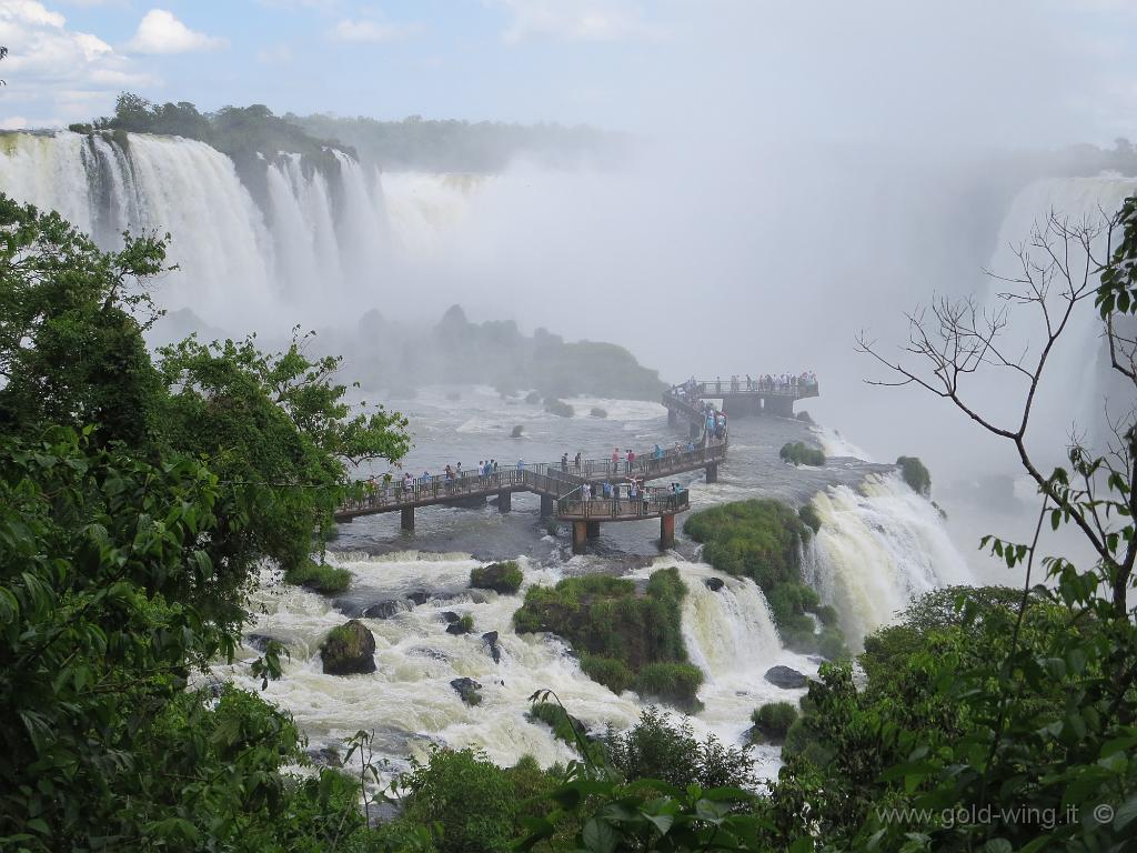 IMG_8829.JPG - 28.11 - Cascate di Iguacu (Brasile)