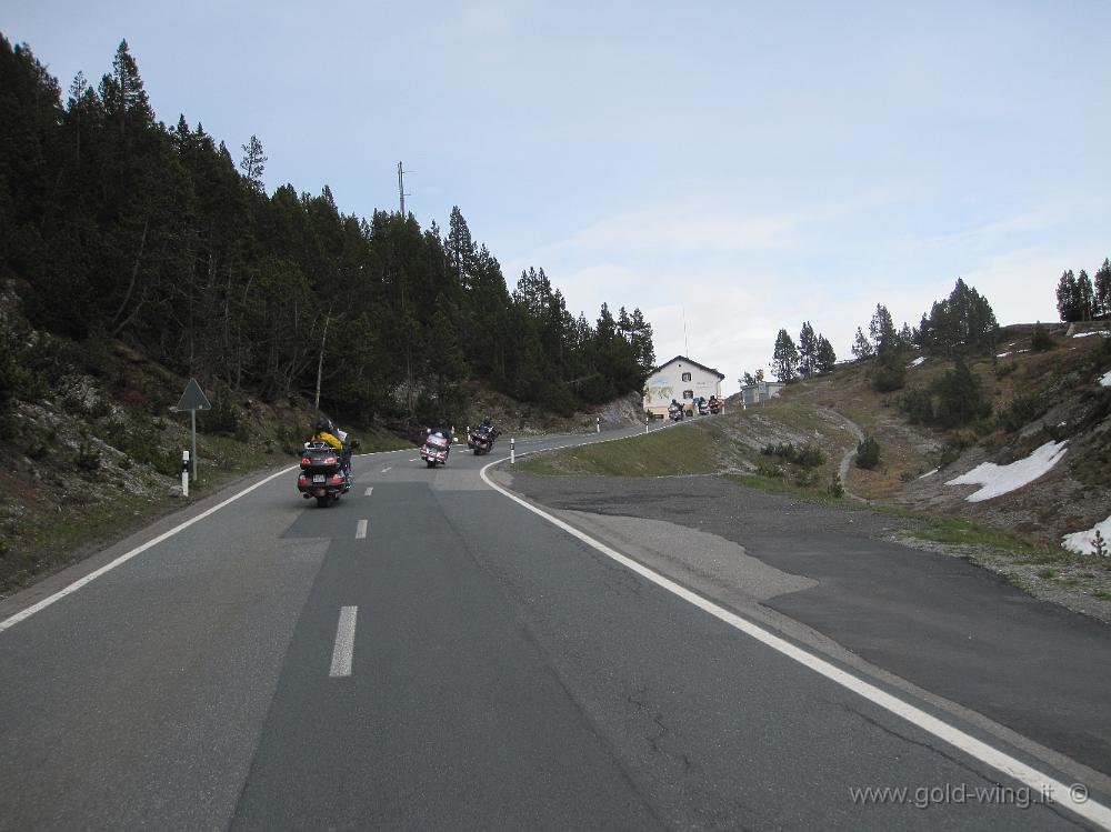 IMG_0559.JPG - Svizzera, valle dal Fuorn