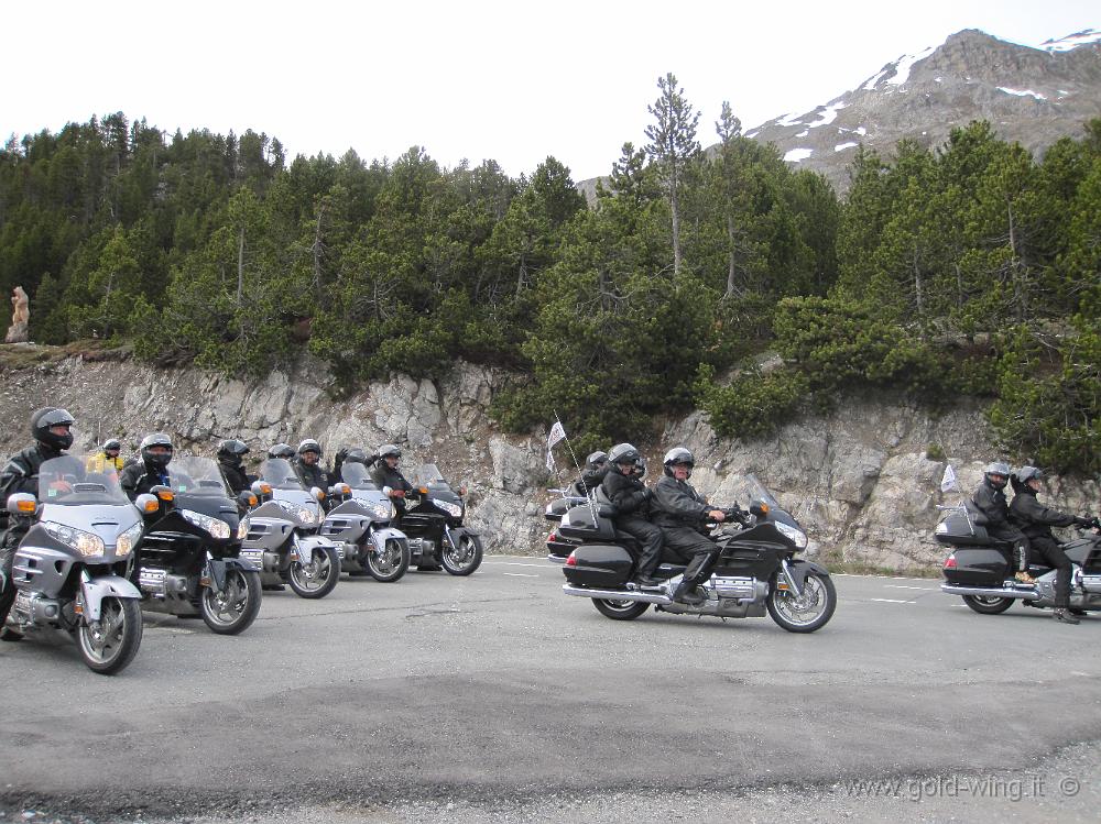 IMG_0563.JPG - Svizzera, passo dal Fuorn/Ofenpass (m 2.149)