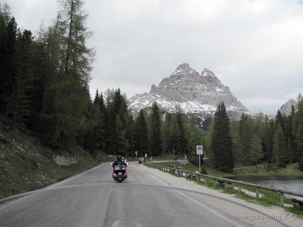 IMG_0826.JPG - Strada per le Tre Cime di Lavaredo  (BL)