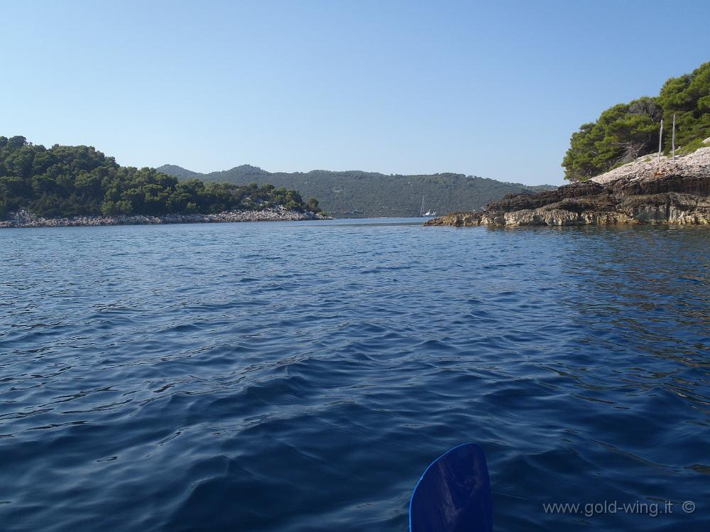 P8250523.JPG - Il canale tra l'isola di Moracnik (a sinistra) e Mljet