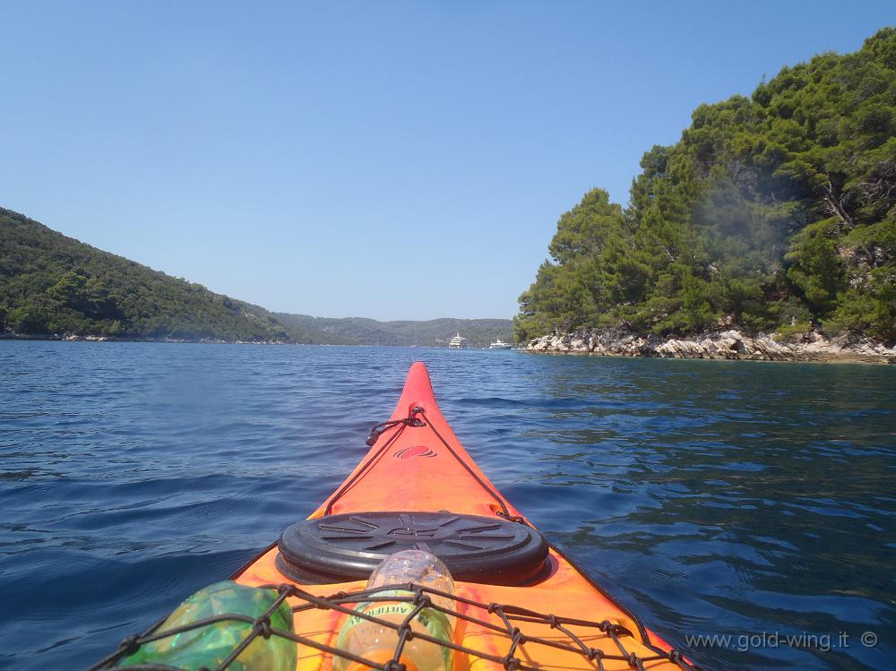 P8250580.JPG - Passaggio tra l'isola Kobrava (a destra) e Mljet