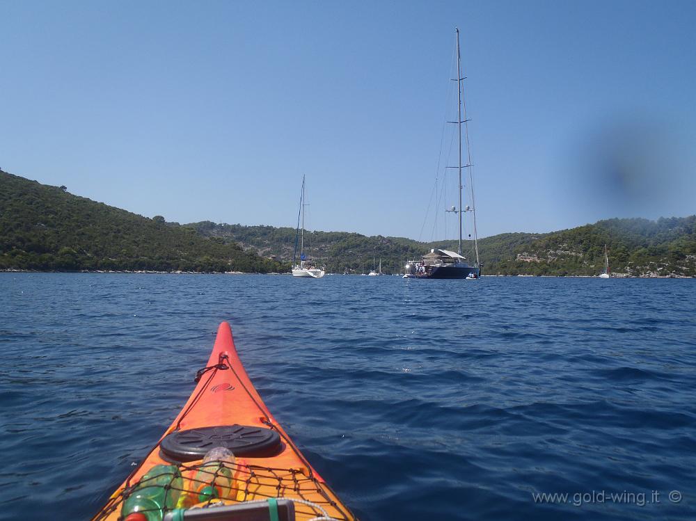 P8250600.JPG - Tra l'isola Tajnik e Mljet: Polace sullo sfondo