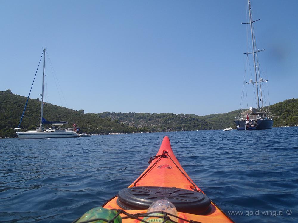 P8250603.JPG - Tra l'isola Tajnik e Mljet: Polace sullo sfondo