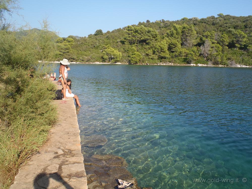 P8260911.JPG - Isola di Santa Maria: il canale che la separa dall'isola di Mljet