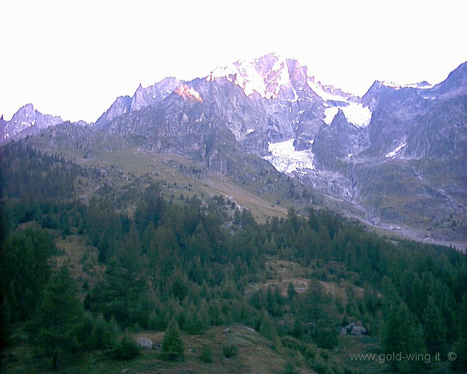 008.JPG - 18.8.2002 - Campeggio Tronchey, m 1.640, Val Ferret, M.Bianco