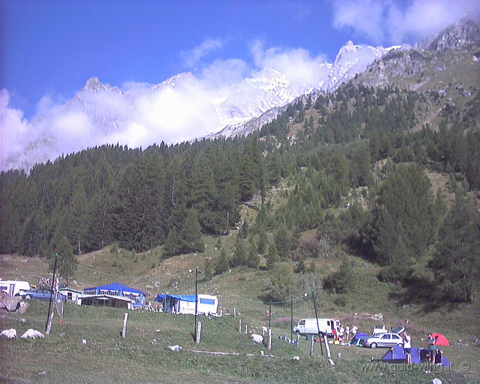 031.JPG - 18.8.2002 - Campeggio Tronchey, m 1.640, Val Ferret, M.Bianco