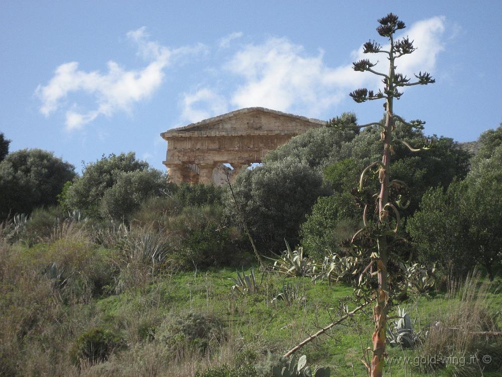 IMG_0122.JPG - Segesta