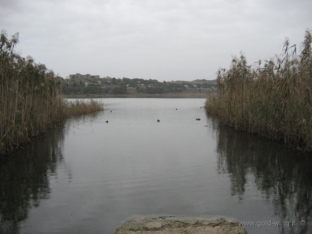 IMG_0727.JPG - Lago di Pergusa