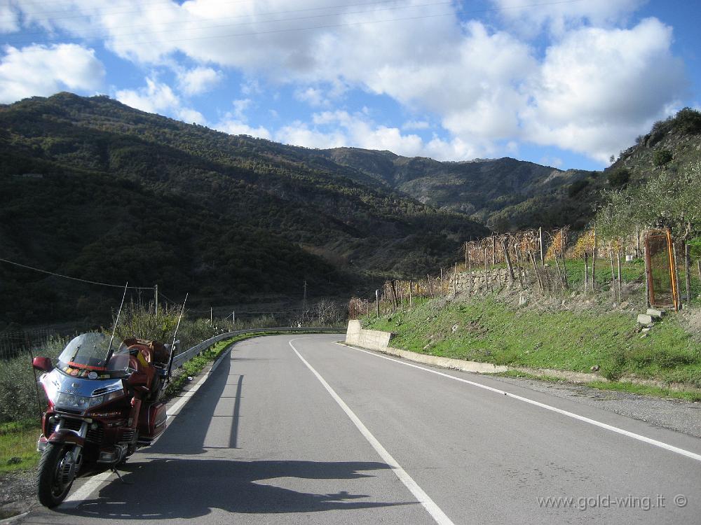 IMG_0881.JPG - Tra Francavilla e Novara di Sicilia, attraverso i Peloritani