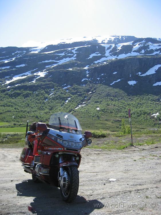 IMG_0164.JPG - Salita verso il passo Sognefjell (m 1.415)