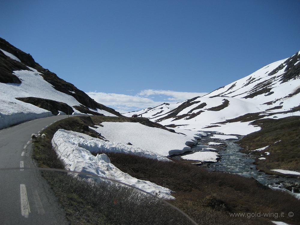 IMG_0230.JPG - Salita verso il passo Sognefjell (m 1.415)