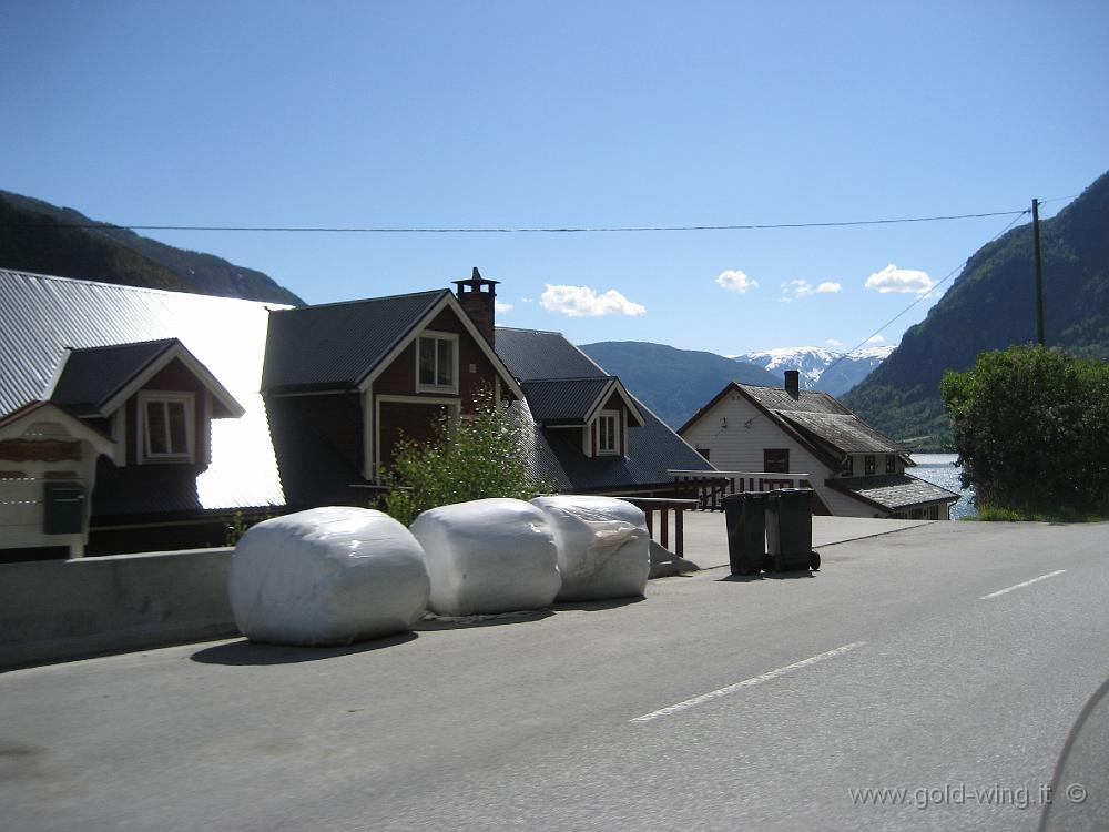 IMG_0545.JPG - Sognefjorden, balle di ...?