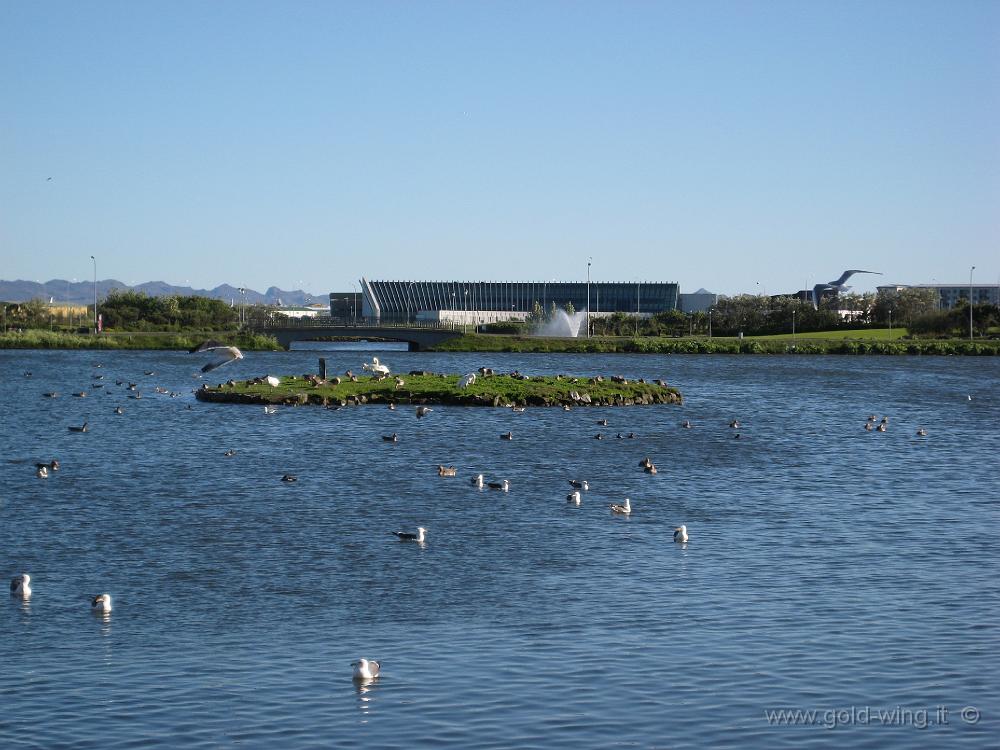 IMG_0034.JPG - Reykjavik: lago Tjornin