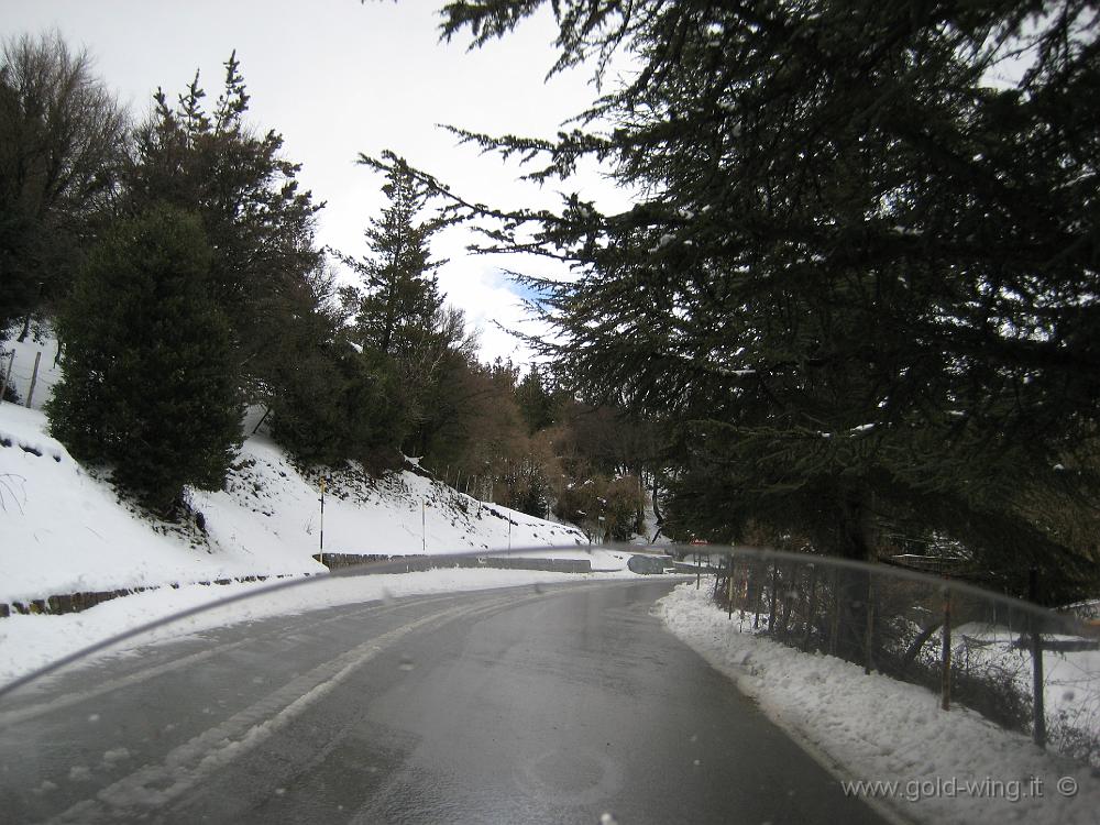 IMG_0023.JPG - Madonie, salita verso Portella Colla (m 1.428): neve sulla strada