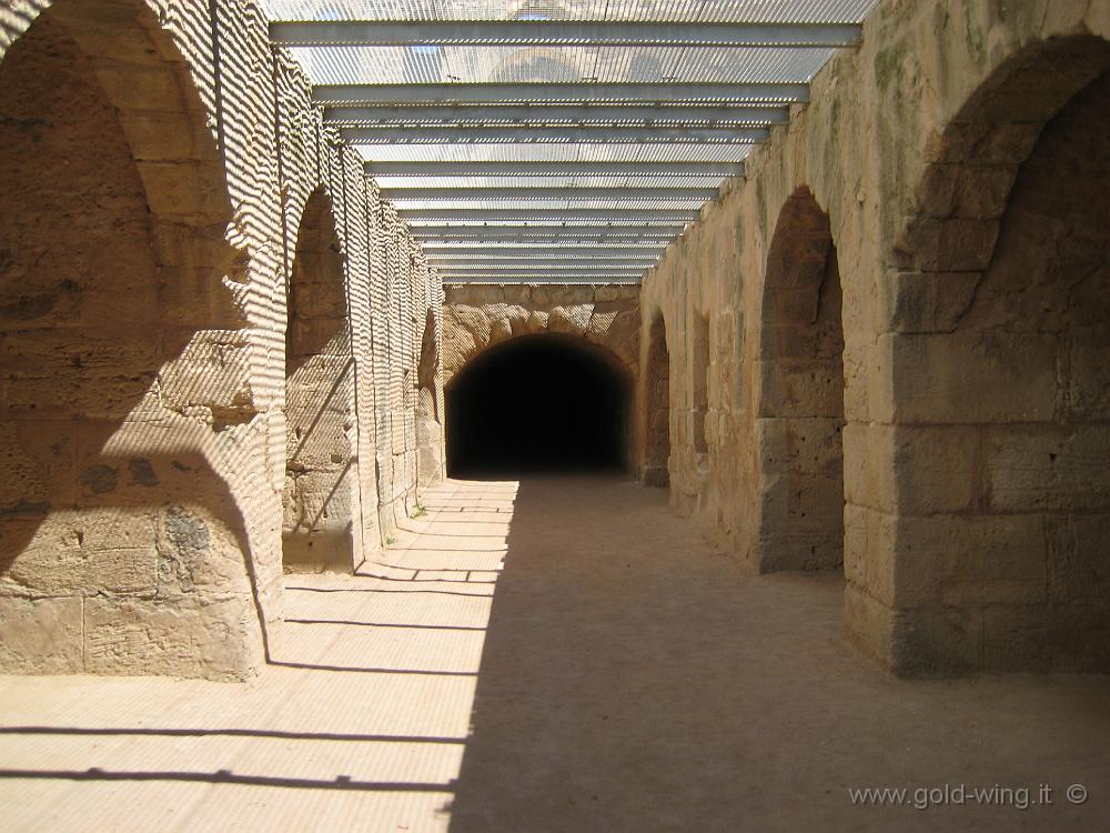 IMG_0206.JPG - El Djem: i sotterranei dell'anfiteatro