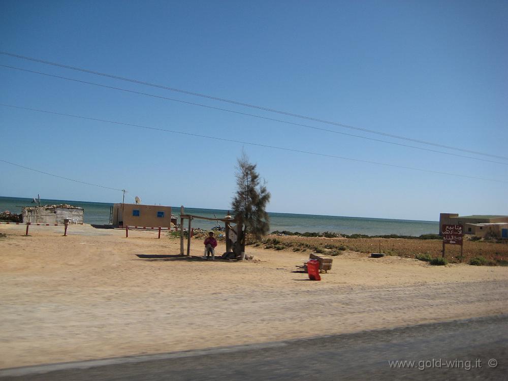 IMG_0230.JPG - Sfax: torno sul mare