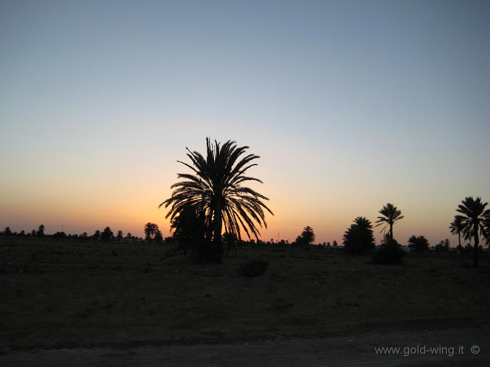 IMG_0311.JPG - Isola di Djerba