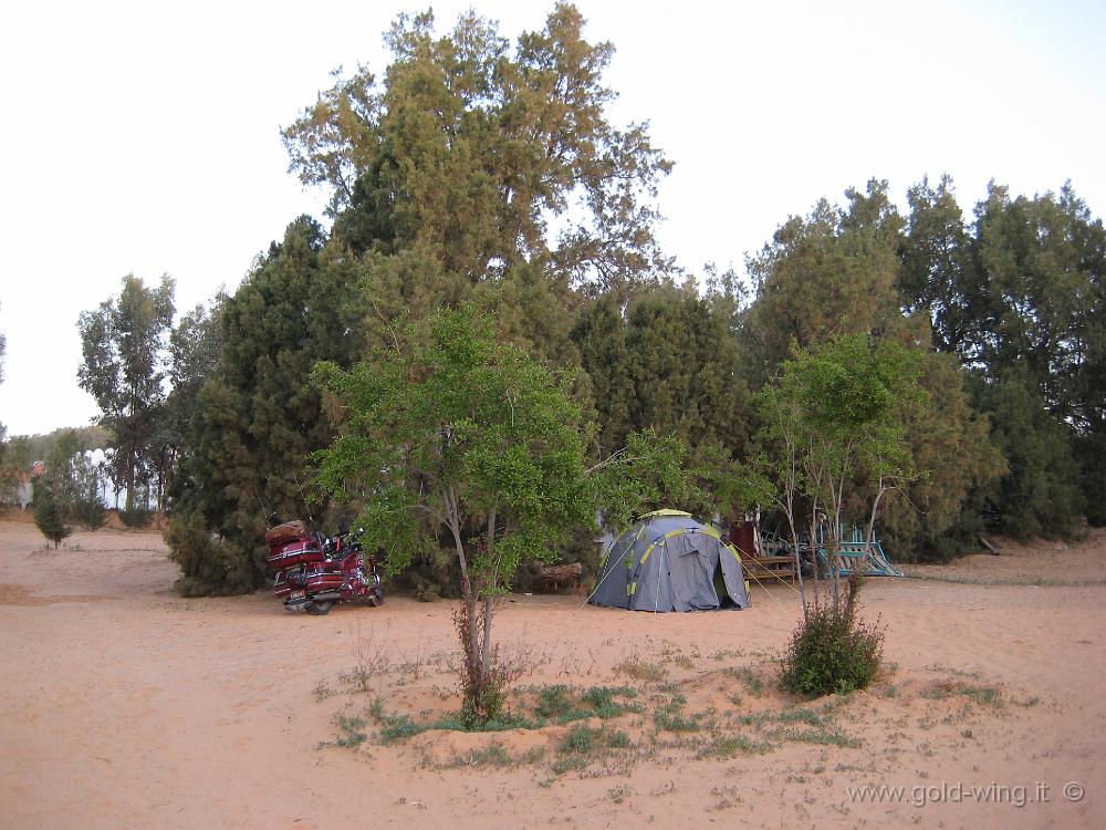 IMG_0611.JPG - Ksar Ghilane: campeggio El Biben, nell'oasi