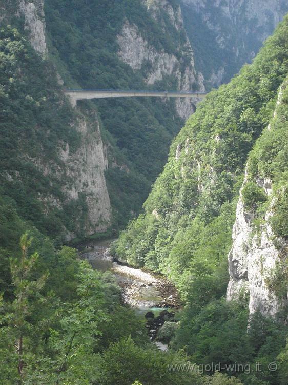 IMG_0305.JPG - Montenegro: ponte sul fiume Piva