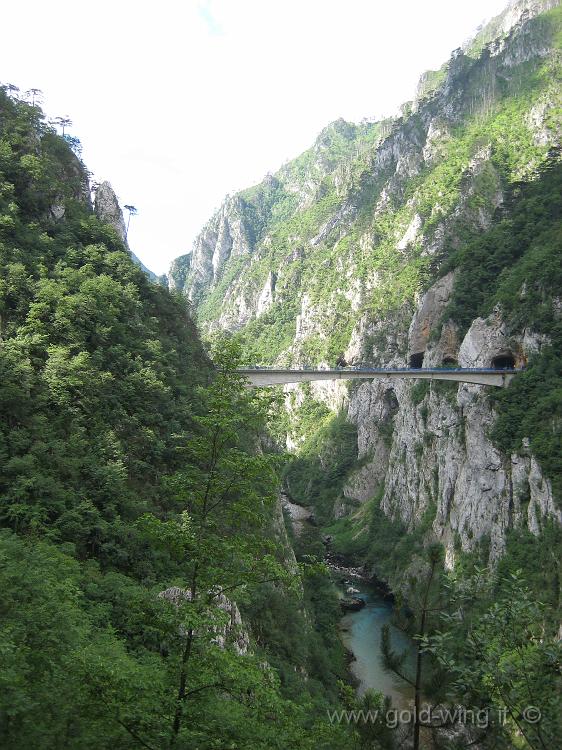 IMG_0310.JPG - Montenegro: ponte sul fiume Piva