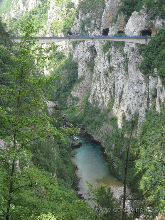 IMG_0311.JPG - Montenegro: ponte sul fiume Piva