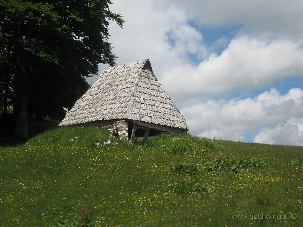 IMG_0498.JPG - Monte Durmitor