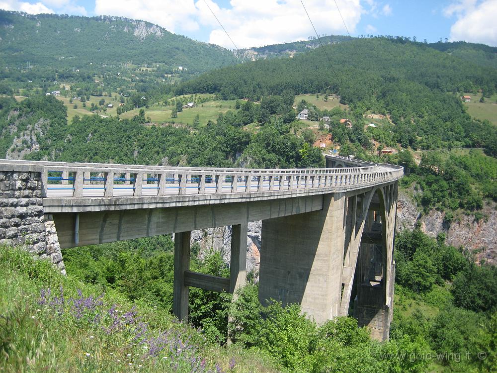 IMG_0508.JPG - Ponte sul canyon del fiume Tara