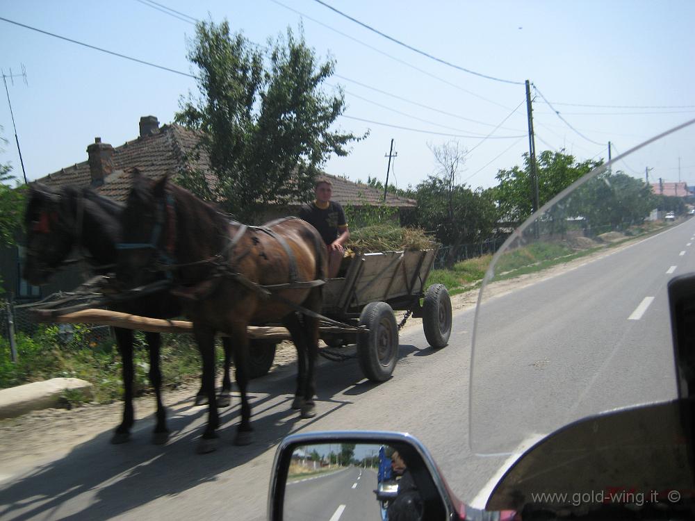 IMG_1457.JPG - Romania, tra Braila e Tulcea: carro agricolo