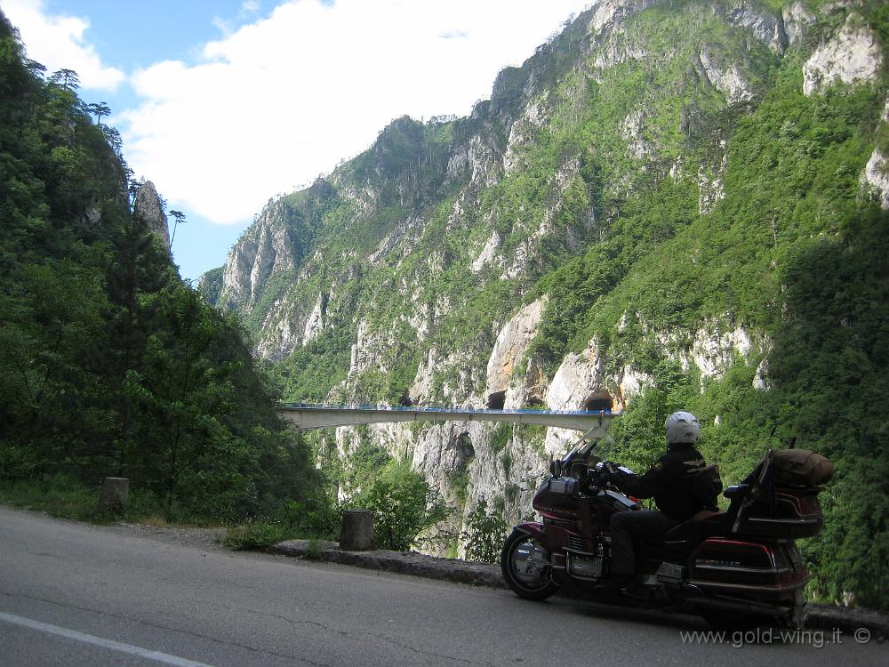 IMG_0314.JPG - Montenegro: ponte sul fiume Piva