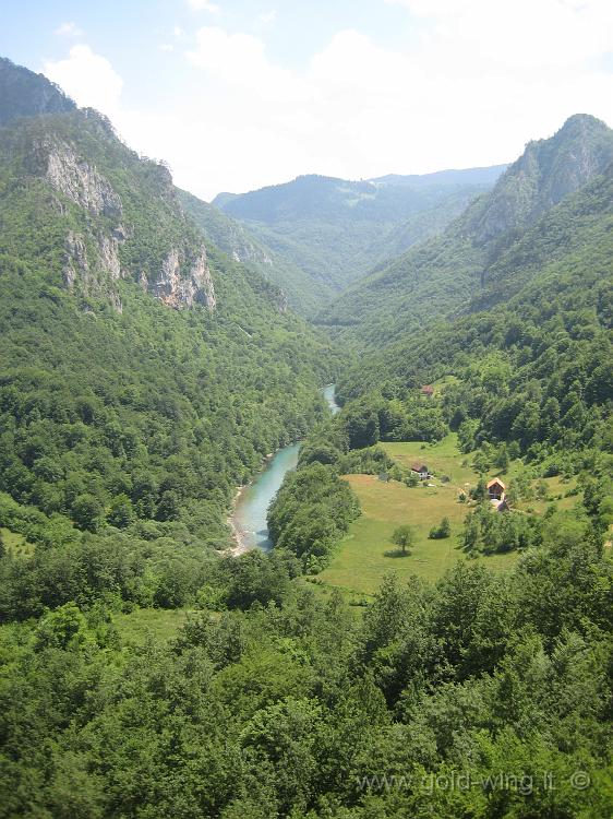 IMG_0510.JPG - Canyon del fiume Tara (uno dei rami sorgenti della Drina)