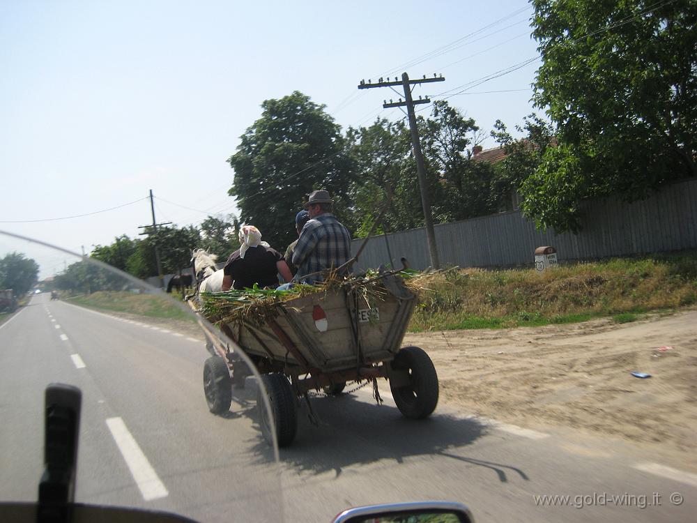 IMG_1455.JPG - Romania, tra Braila e Tulcea: carro agricolo targato