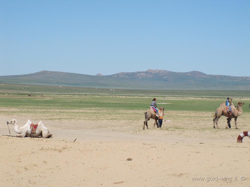 IMG_2196.JPG - Mongol Els (Mongolia): cammelli