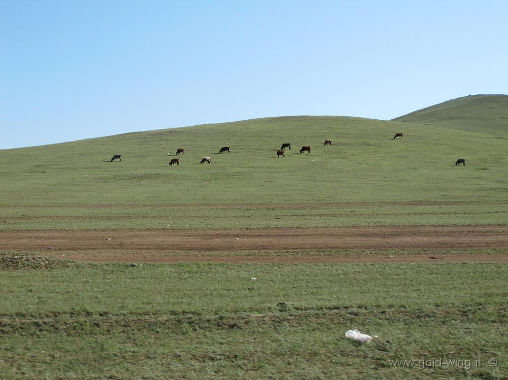 IMG_2345.JPG - Pista tra le Mongol Els e Ulan Bator (Mongolia)