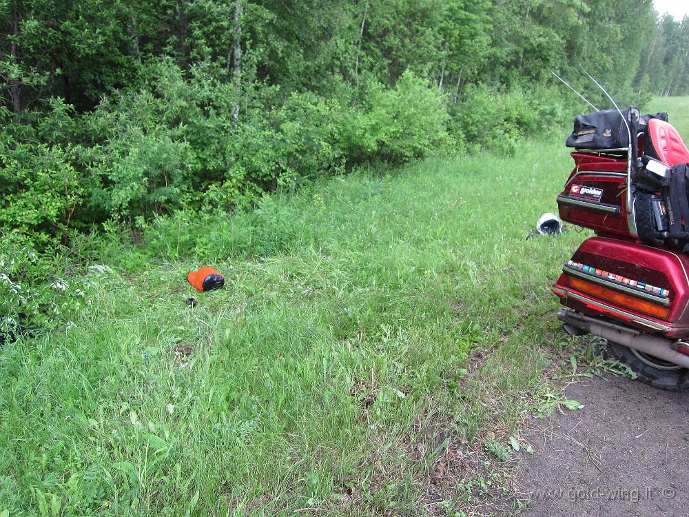 IMG_0654.JPG - Siberia, 70 km a est di Novosibirsk - Incidente: il fosso dove sono caduto