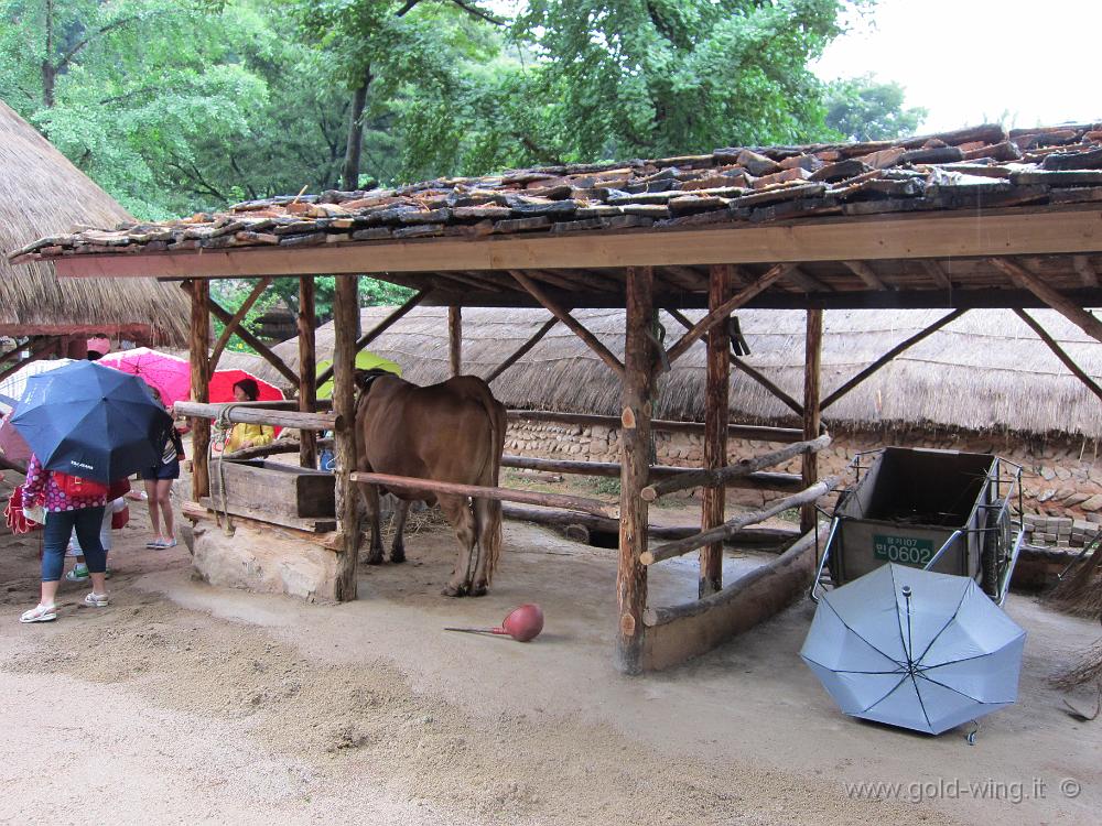 IMG_2264.JPG - Korea Folk Village