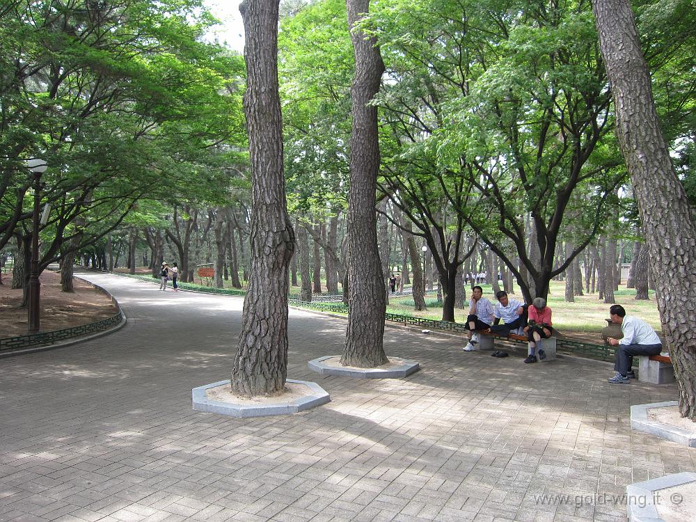 IMG_3253.JPG - Gyeongju - Parco delle tombe reali a tumulo (regno Silla)