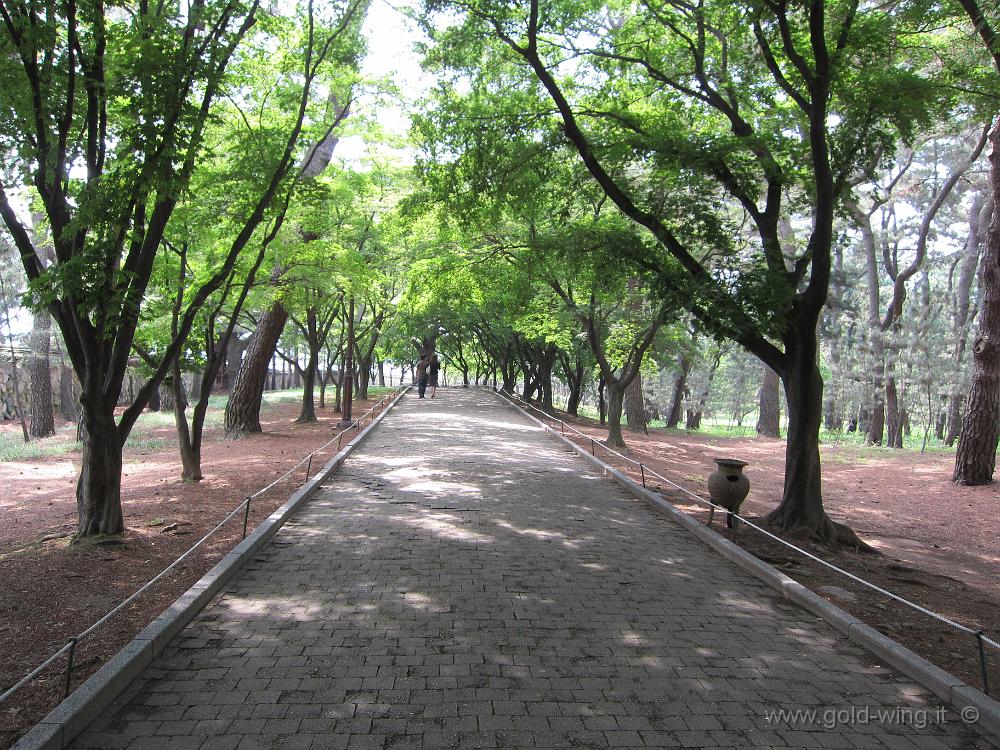 IMG_3257.JPG - Gyeongju - Parco delle tombe reali a tumulo (regno Silla)