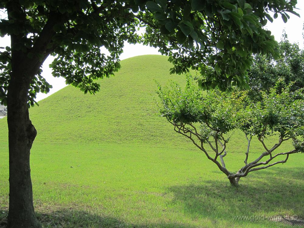 IMG_3289.JPG - Gyeongju - Tombe reali a tumulo