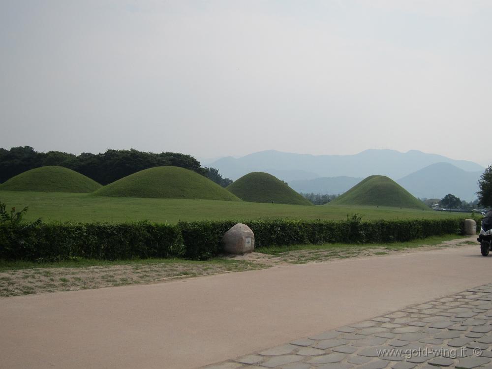 IMG_3366.JPG - Gyeongju - Tombe Onung, i più antichi tumuli tombali della zona