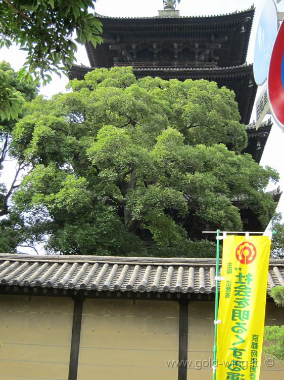 IMG_4612.JPG - Kyoto - To-ji (si intravede la pagoda a 5 piani)