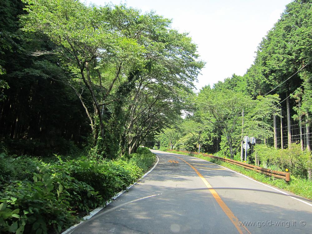 IMG_4839.JPG - Salita verso il Monte Fuji: a 10,5 km, quota m 650