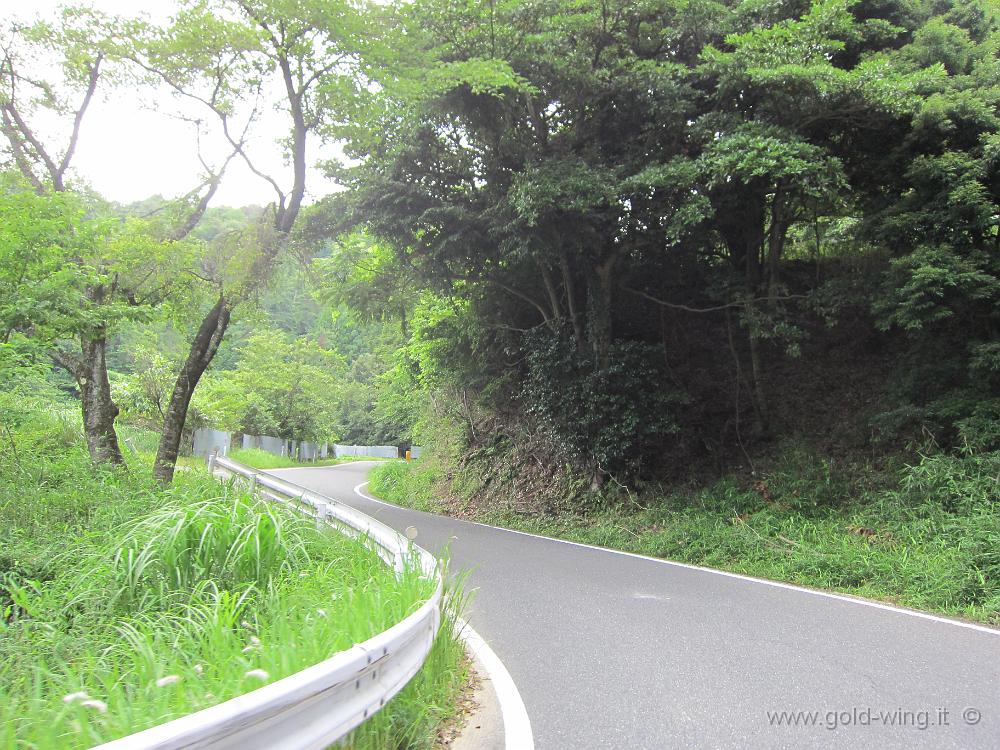 IMG_5418.JPG - Strade secondarie a ovest di Kumihama