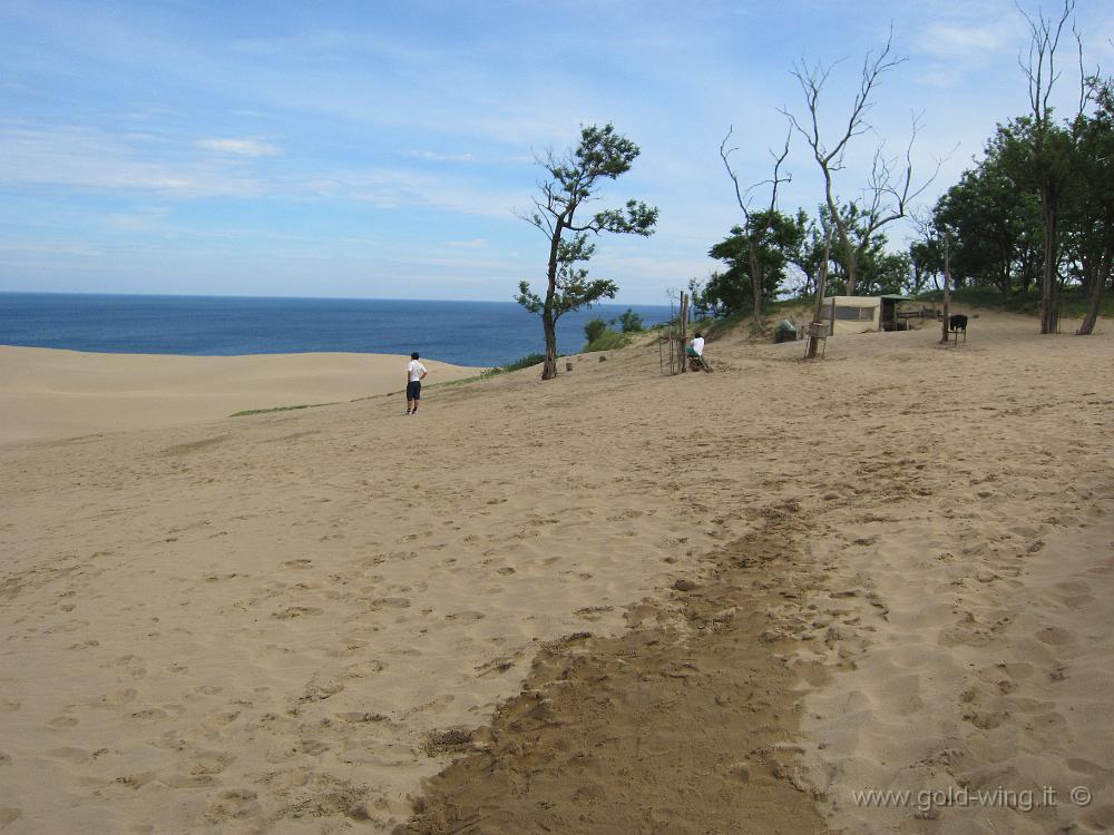 IMG_5629.JPG - P.n. San'in Kaigan - Dune di sabbia di Tottori: lunghezza km 10, larghezza km 2, altezza m 47