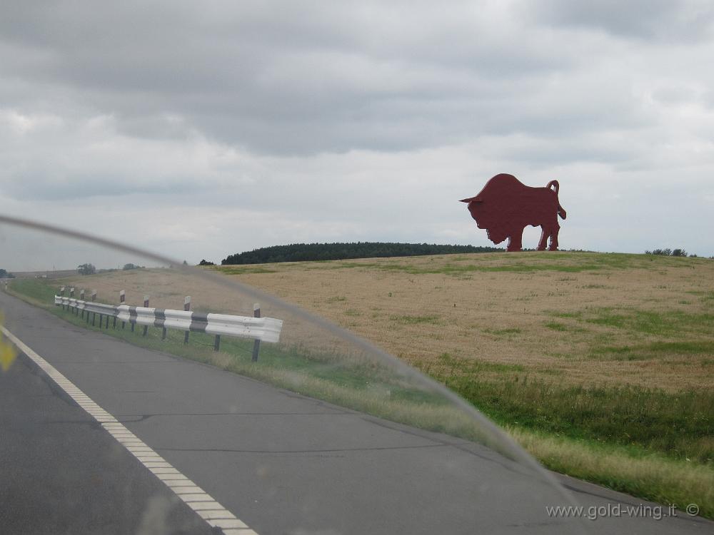 IMG_7244.JPG - Bielorussia - Il "solito" toro sull'autostrada