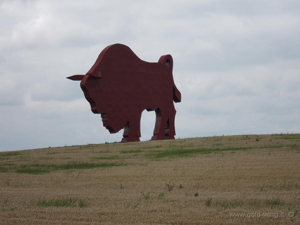 IMG_7245.JPG - Bielorussia - Il "solito" toro sull'autostrada