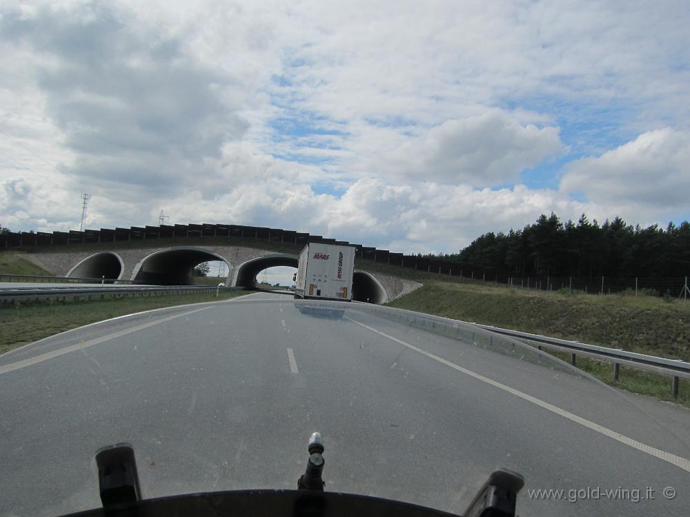 IMG_7288.JPG - Polonia - Ponte per gli animali sull'autostrada tra Varsavia e Lodz